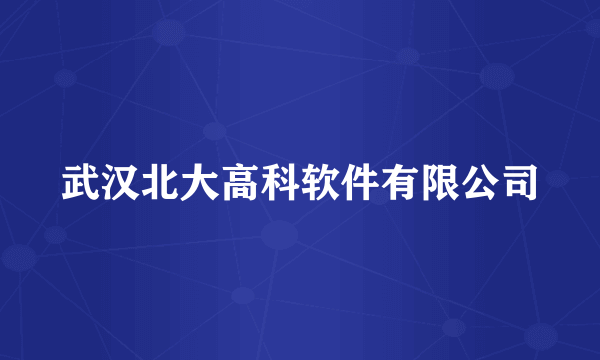 武汉北大高科软件有限公司