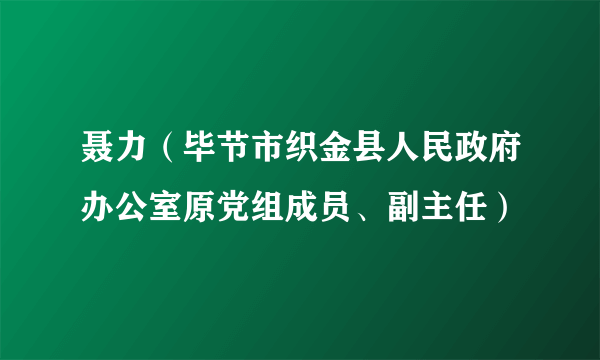 聂力（毕节市织金县人民政府办公室原党组成员、副主任）