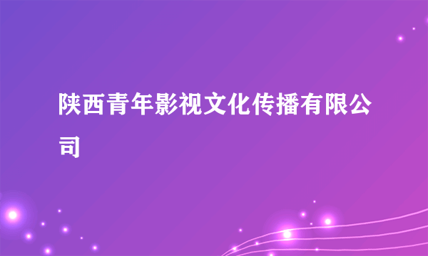 陕西青年影视文化传播有限公司