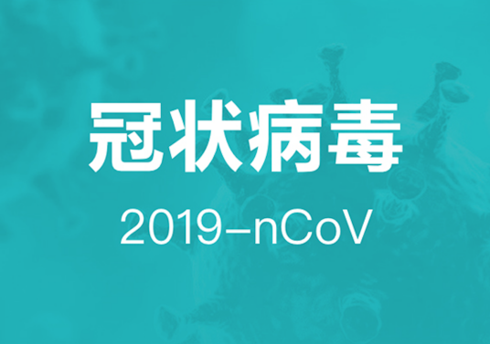 2020年新型冠状病毒疫情