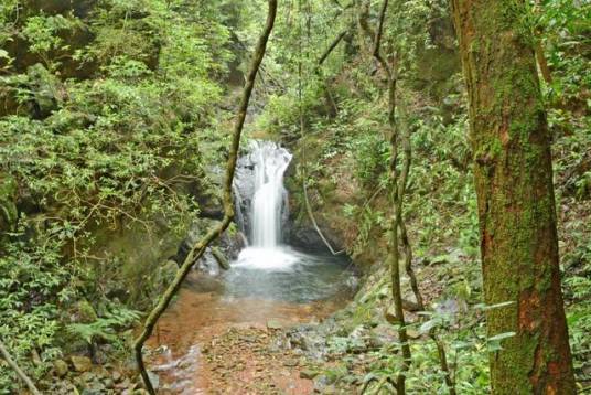 大桂山林场