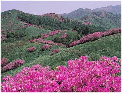 智异山（韩国名山）