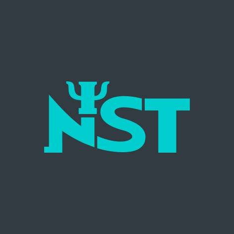 Nst（人格心理学）