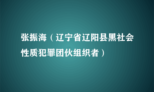 张振海（辽宁省辽阳县黑社会性质犯罪团伙组织者）