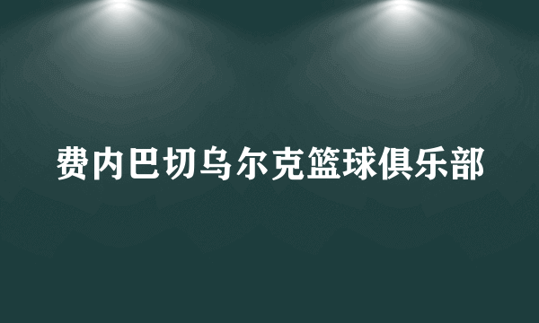 费内巴切乌尔克篮球俱乐部