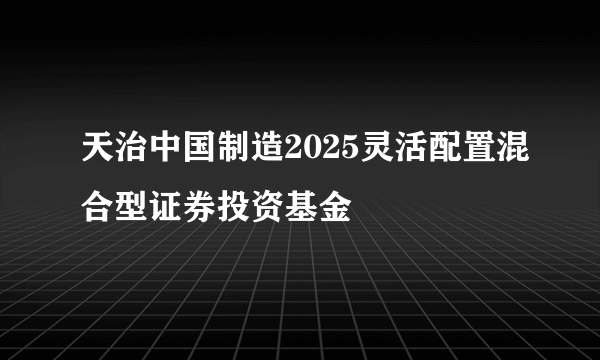 天治中国制造2025灵活配置混合型证券投资基金