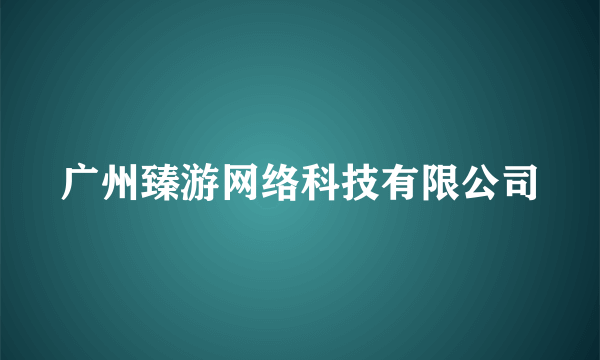 广州臻游网络科技有限公司