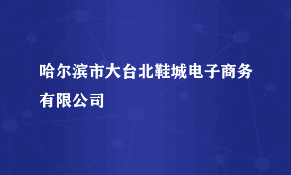 哈尔滨市大台北鞋城电子商务有限公司