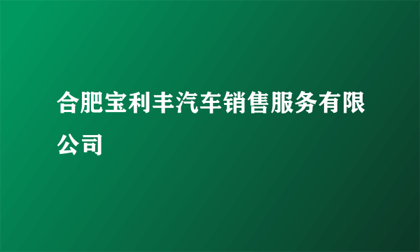 合肥宝利丰汽车销售服务有限公司