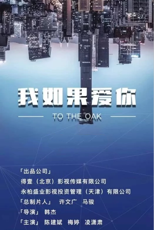 我如果爱你（2021年韩杰执导的剧情剧）