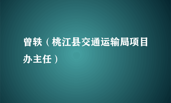 曾轶（桃江县交通运输局项目办主任）