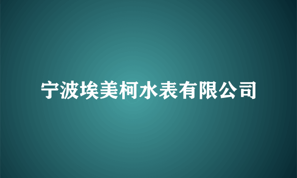 宁波埃美柯水表有限公司