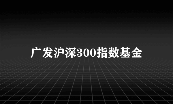 广发沪深300指数基金