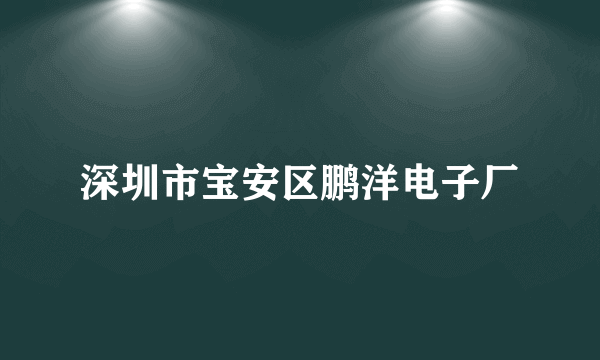 深圳市宝安区鹏洋电子厂