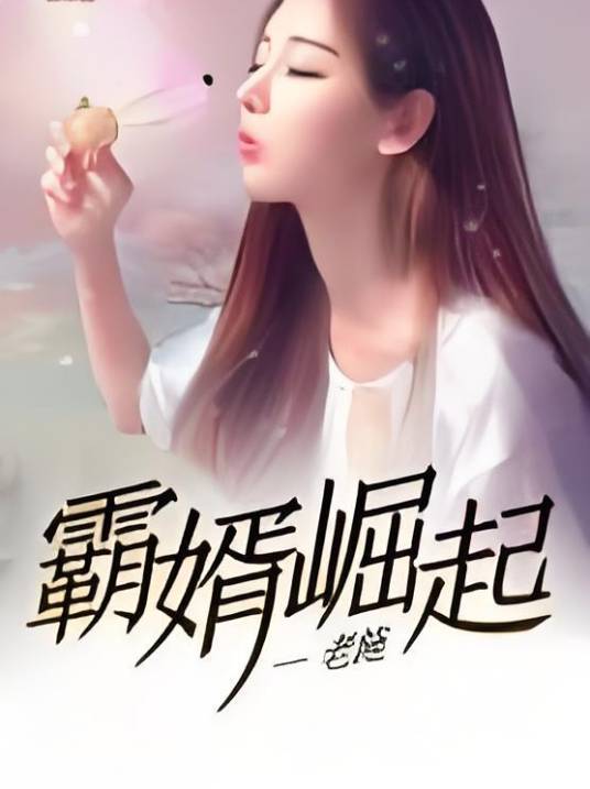 霸婿崛起（老施创作的都市类网络小说）