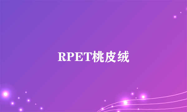 RPET桃皮绒