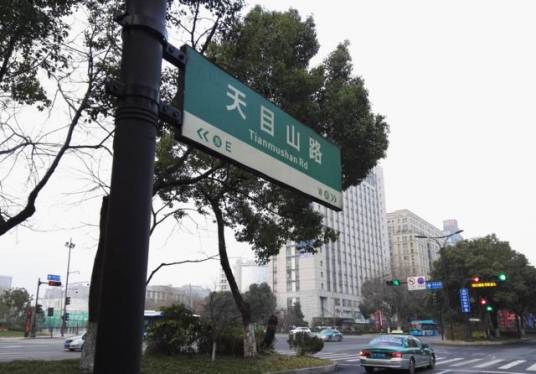 天目山路（新沂市天目山路）