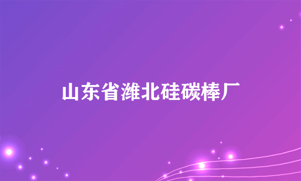 山东省潍北硅碳棒厂