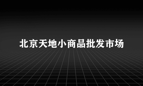 北京天地小商品批发市场