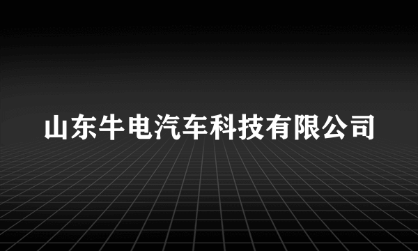 山东牛电汽车科技有限公司