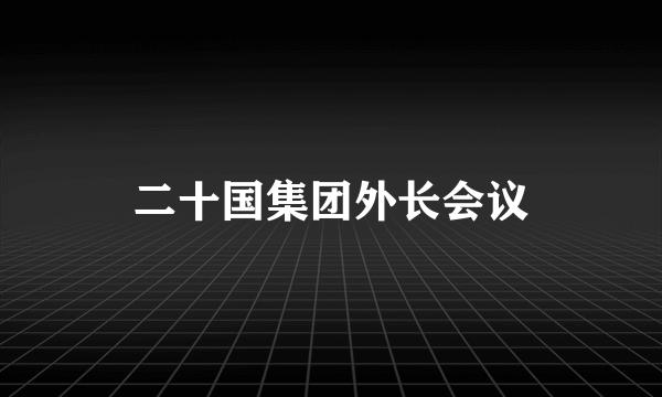 二十国集团外长会议