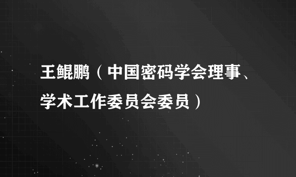 王鲲鹏（中国密码学会理事、学术工作委员会委员）