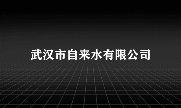 武汉市自来水有限公司