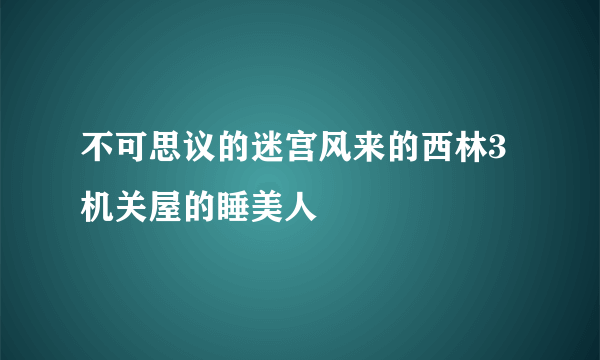 不可思议的迷宫风来的西林3 机关屋的睡美人