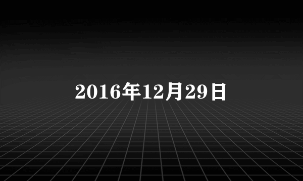 2016年12月29日