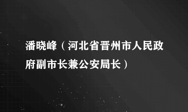 潘晓峰（河北省晋州市人民政府副市长兼公安局长）