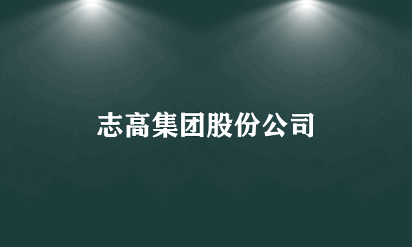 志高集团股份公司