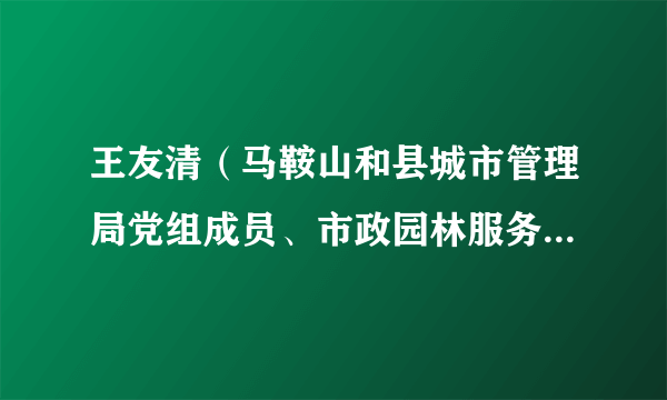 王友清（马鞍山和县城市管理局党组成员、市政园林服务中心主任）