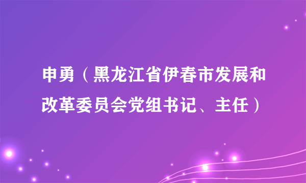 申勇（黑龙江省伊春市发展和改革委员会党组书记、主任）