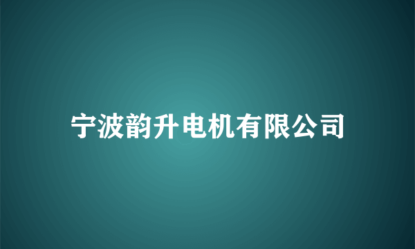 宁波韵升电机有限公司