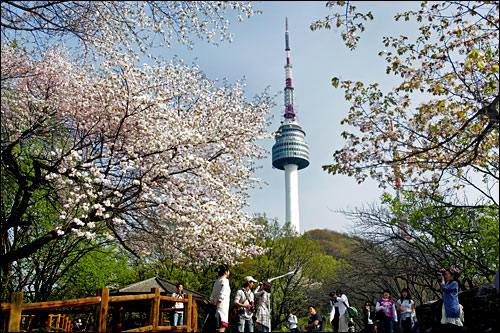 南山公园（韩国首尔南山公园）