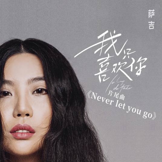 Never let you go（萨吉演唱歌曲）