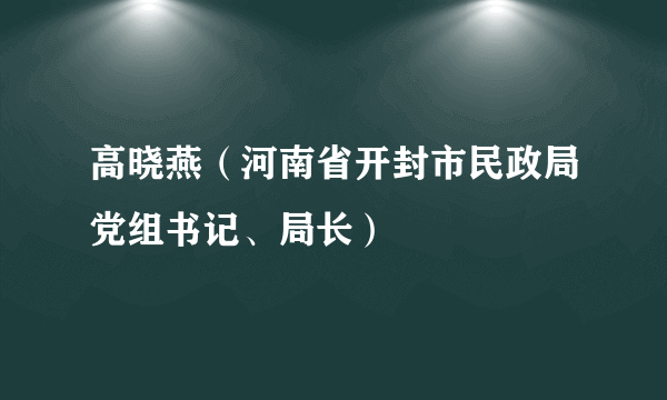 高晓燕（河南省开封市民政局党组书记、局长）