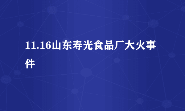 11.16山东寿光食品厂大火事件