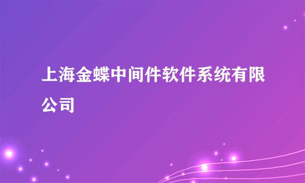 上海金蝶中间件软件系统有限公司