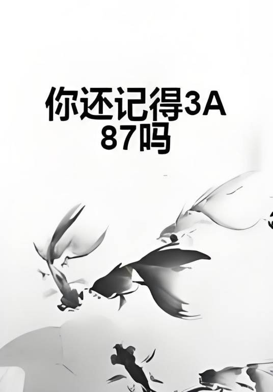 你还记得3A87吗