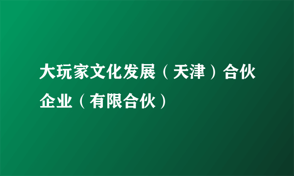 大玩家文化发展（天津）合伙企业（有限合伙）