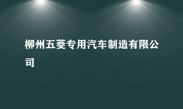 柳州五菱专用汽车制造有限公司