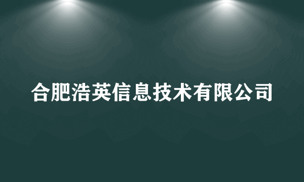 合肥浩英信息技术有限公司