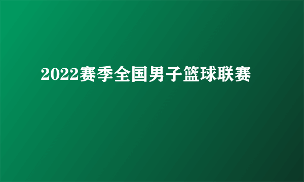 2022赛季全国男子篮球联赛