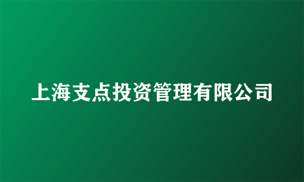 上海支点投资管理有限公司