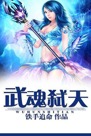 武魂弑天（铁手追命创作的小说）