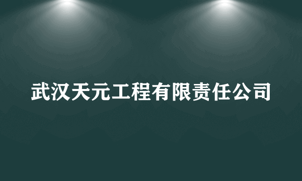 武汉天元工程有限责任公司