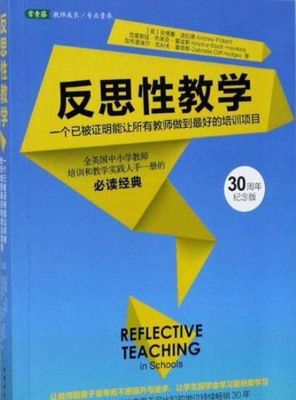 反思性教学（2017年中国青年出版社出版的图书）