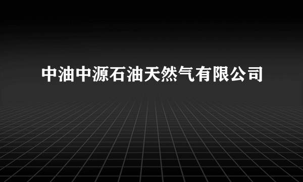 中油中源石油天然气有限公司