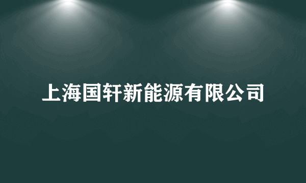 上海国轩新能源有限公司